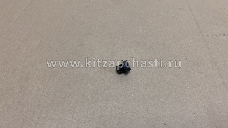 Пробка сливная Tank 300 1009304XEC06