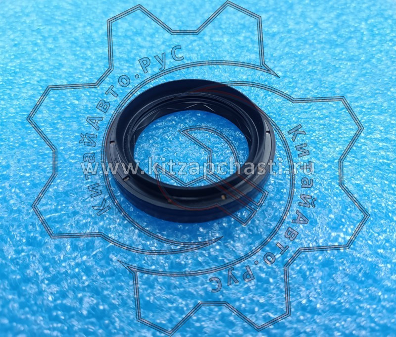 Сальник дифференциала EXEED TXL FL T9002010